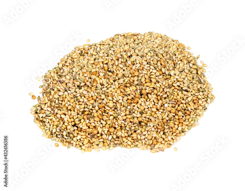 handful of unhulled foxtail millet seeds on white