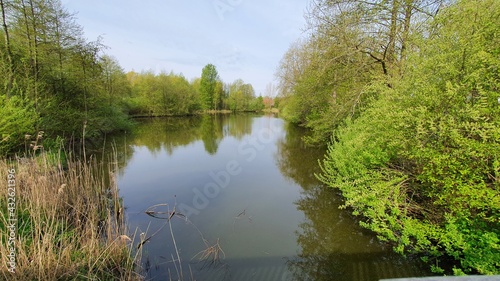 lake in the forest