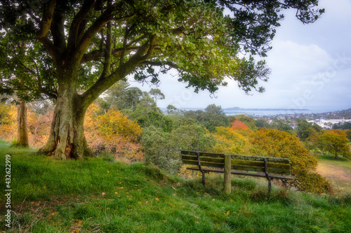 Cornwall Park - Auckland. - New Zealand - Autumn