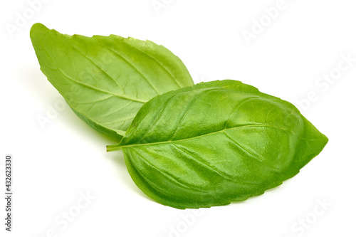 Fresh basil leaves, isolated on white background. High resolution image.