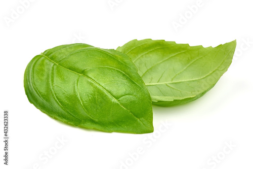 Basil leaves, isolated on a white background. High resolution image.