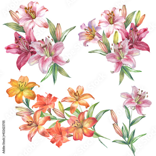 bouquet of flowers.watercolor lilies