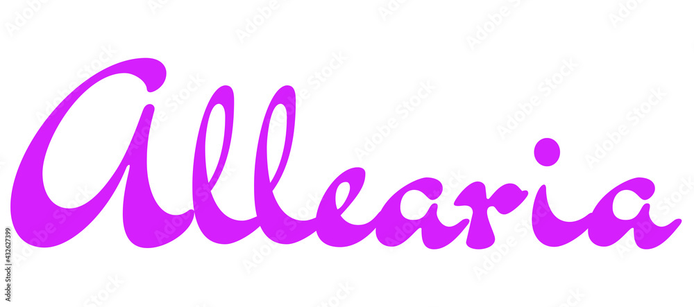 Allearia Allearia