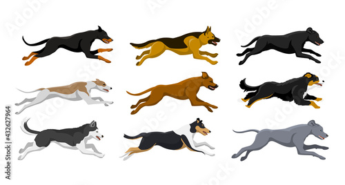 Running dogs vector illustration, including doberman, labrador, whippet, husky, collie, bernese, weimaraner, rhodesian ridgeback, german shepherd