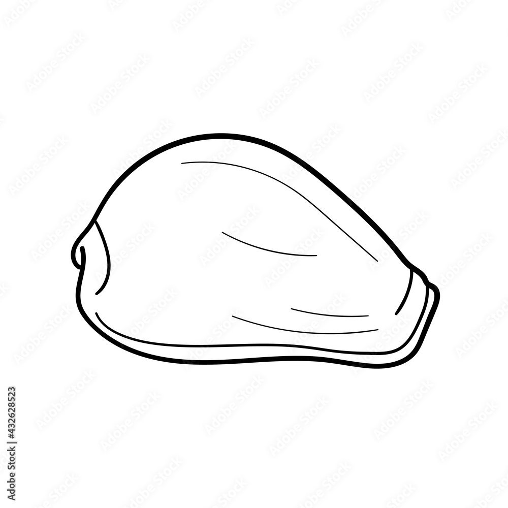 Fototapeta premium Hand-drawn cowry shell of engraved line. Design element for invitations, greeting cards, posters, banners, flyers and more. Vector illustration isolated on white background.