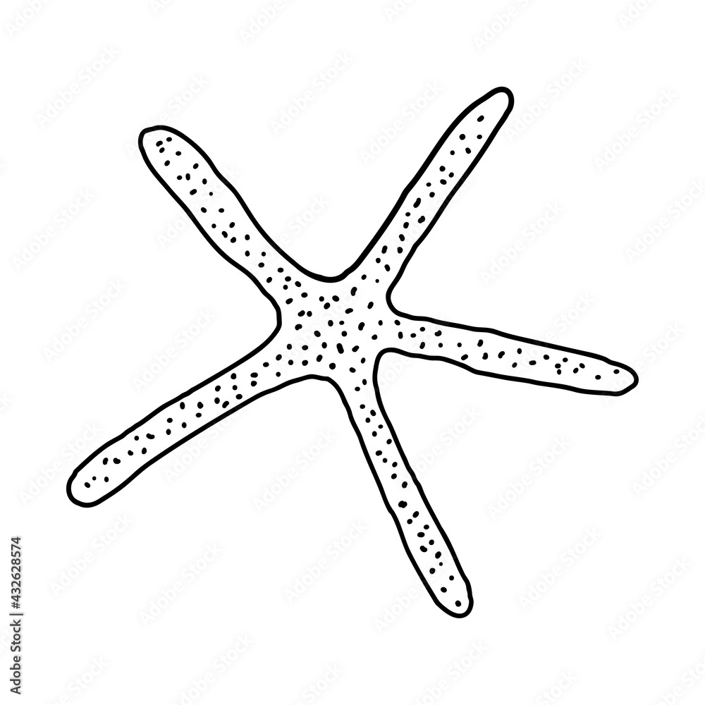 Hand-drawn starfish of engraved line. Design element for invitations, greeting cards, posters, banners, flyers and more. Vector illustration isolated on white background. Hand-drawn starfish of engraved line. Design element for invitations, greeting cards, posters, banners, flyers and more. Vector illustration isolated on white background.