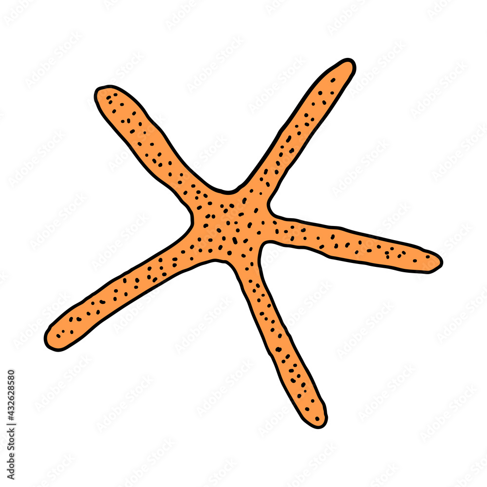 Hand-drawn starfish of engraved line. Design element for invitations, greeting cards, posters, banners, flyers and more. Vector colorful illustration isolated on white background. Hand-drawn starfish of engraved line. Design element for invitations, greeting cards, posters, banners, flyers and more. Vector colorful illustration isolated on white background.