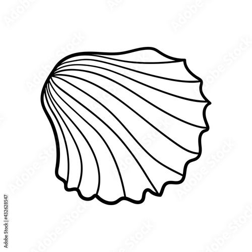 Hand-drawn scallop shell of engraved line. Design element for invitations  greeting cards  posters  banners  flyers and more. Vector illustration isolated on white background.
