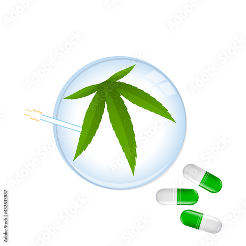 Hemp on petri dish for herbal pharmaceutical medicine, vector art illustration.