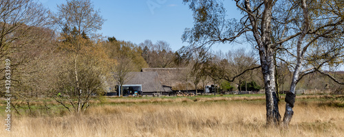 Landscape with visitor center in nature reserve Dwingelderveld near Dwingeloo in Drenthe in the Netherlands photo