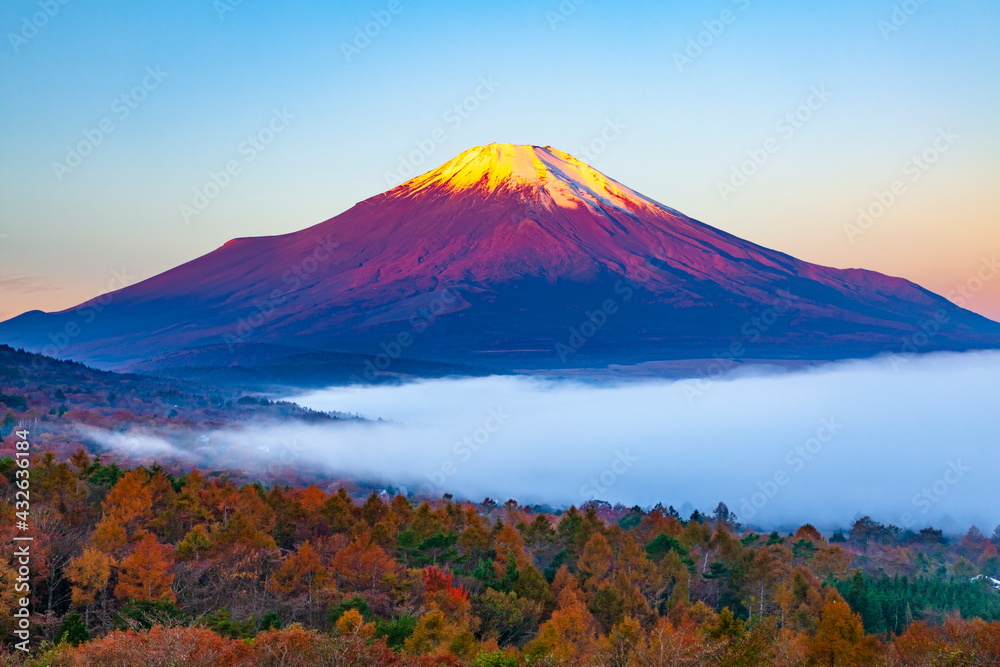 朝日に照らされた富士山と雲海に覆われた山中湖　山梨県南都留郡山中湖村パノラマ台にて