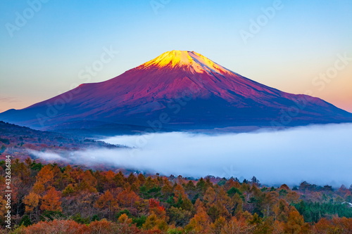 朝日に照らされた富士山と雲海に覆われた山中湖 山梨県南都留郡山中湖村パノラマ台にて