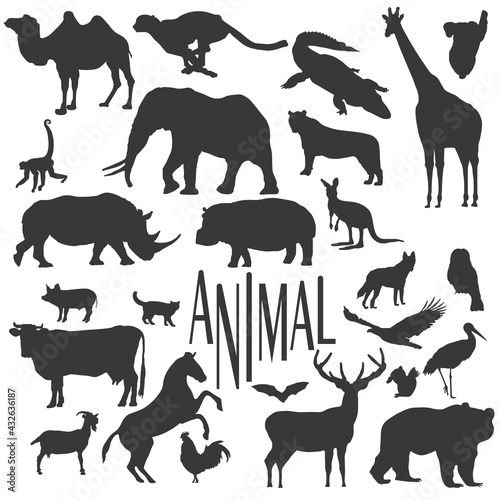 all the more animal, animal world