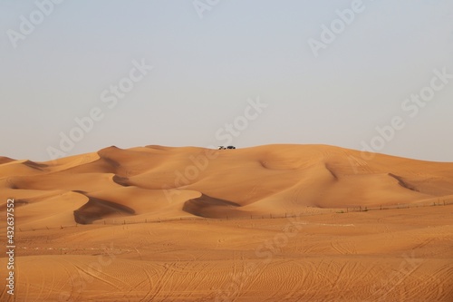 The Desert  UAE      Red Sand Dunes