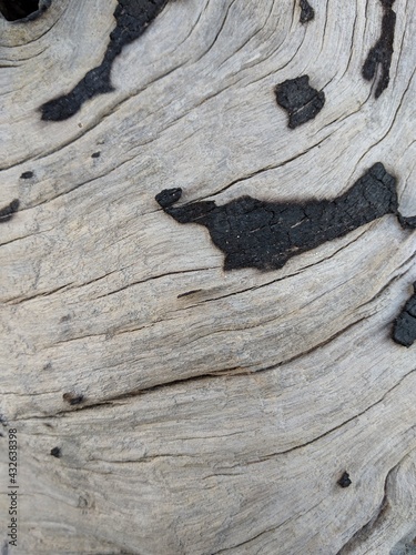 old wood texture