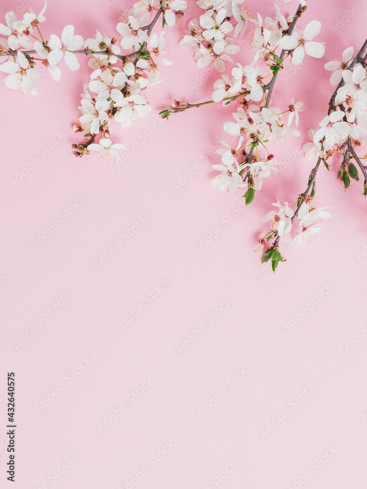 Spring frame of tree branches with white flowers on pink background. Flat lay