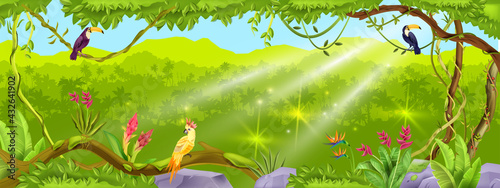 Jungle forest vector background, nature tropical wood landscape, liana, paradise trees, exotic birds, stone. Summer Amazon environment illustration, palm silhouette. Green thicket jungle background