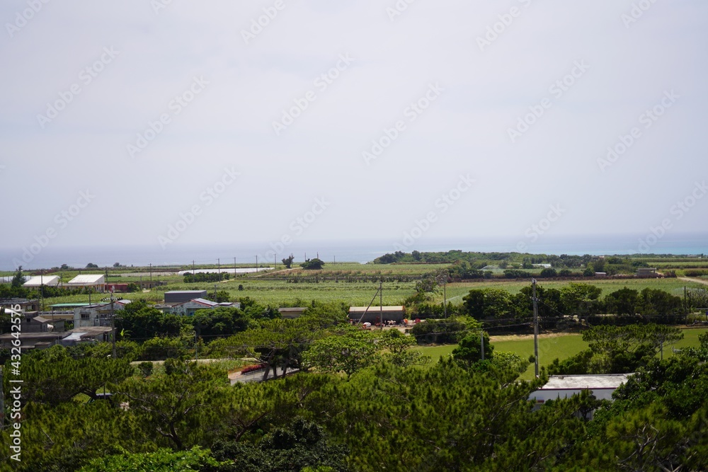 宮古島の畑の風景