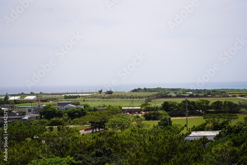 宮古島の畑の風景