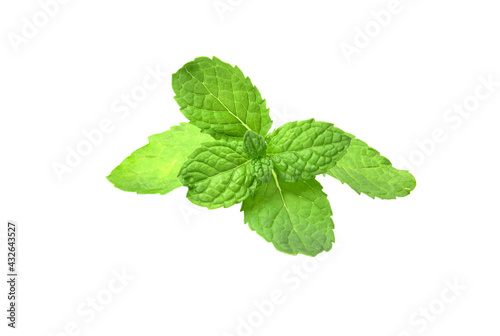 peppermint isolated on white background.