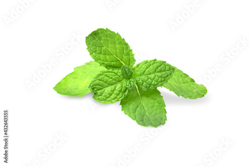 peppermint isolated on white background.