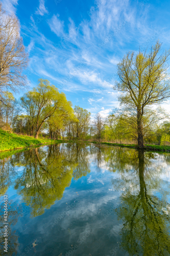 body of water in the park is overgrown mud body of water in the park is overgrown mud