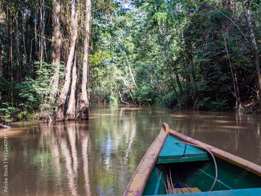 Fototapeta premium Amazonia