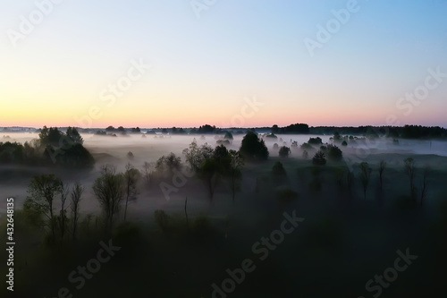 evening fog landscape forest river  view morning forest beautiful background
