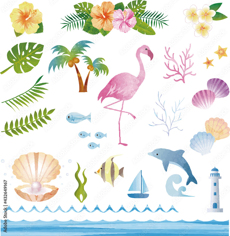 夏 鳥 花 海 貝 自然 南国 トロピカル 水彩 イラスト素材セット Stock Vector Adobe Stock