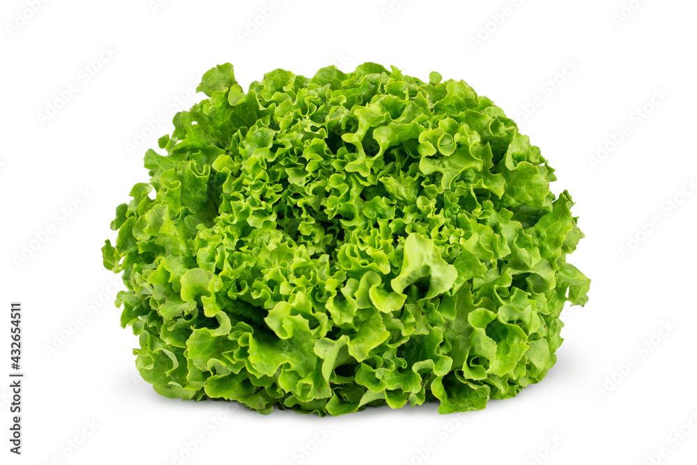 Juicy leaves of lettuce isolated on white background. Fresh lolo salad. Juicy leaves of lettuce isolated on white background. Fresh lolo salad.