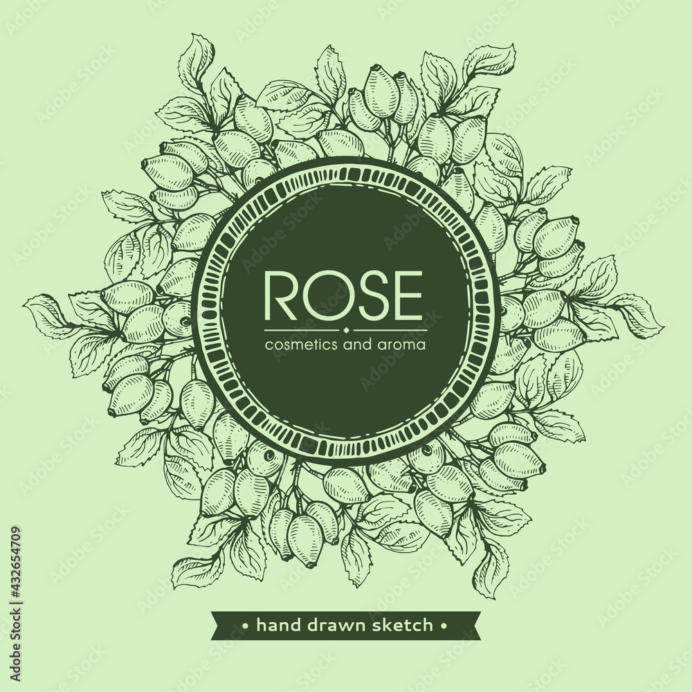 Frame with Rosa canina . Detailed hand-drawn sketches, vector Frame with Rosa canina . Detailed hand-drawn sketches, vector