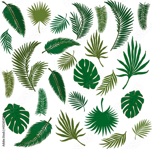 seamless background with leaves, palm leaves, palm leaves pattern, set of palm leaves