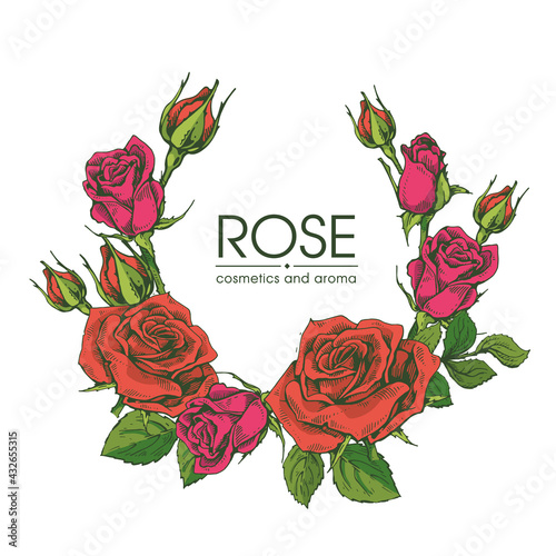 Frame with Roses . Detailed hand-drawn sketches, vector