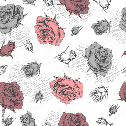 Seamless Pattern with Roses . Detailed hand-drawn sketches, vector