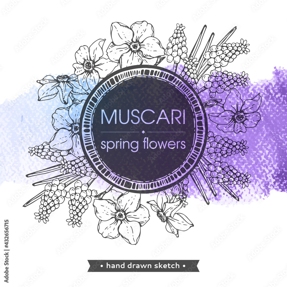 Frame with Spring flawers, daffodils and muscaries . Detailed hand-drawn sketches, vector . Frame with Spring flawers, daffodils and muscaries . Detailed hand-drawn sketches, vector .