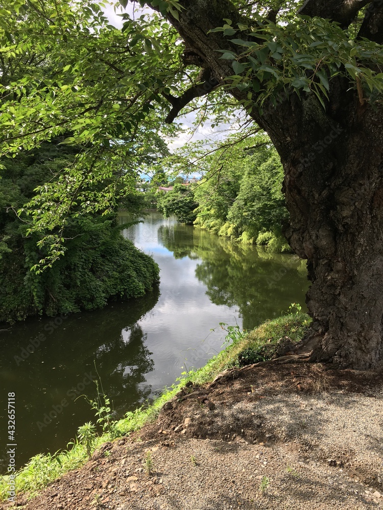 会津　鶴ヶ城