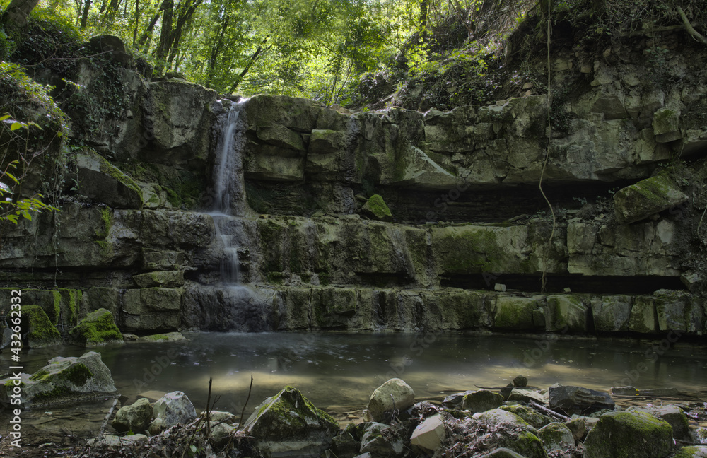 Fototapeta premium waterfall in the forest