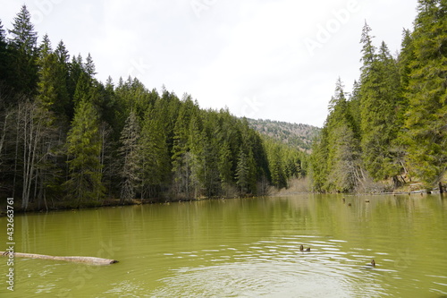 Red Lake from the Carpathian mountains 