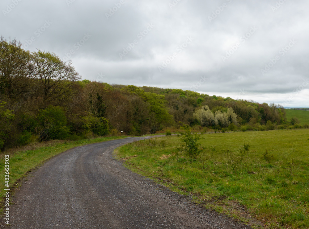 a grey stone track winds up through green tree lined English countryside under a moody dark cloud sky