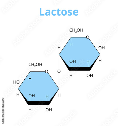 2D vector molecular structure of the disaccharide lactose, sugar composed of galactose and glucose. Milk sugar found in milk. The structural formula of the lactose is isolated on a white background.