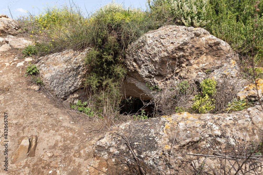Nature near the excavations of the ancient burial caves of the Sidonian near the Maresha city in Beit Guvrin, Kiryat Gat, in Israel Nature near the excavations of the ancient burial caves of the Sidonian near the Maresha city in Beit Guvrin, Kiryat Gat, in Israel
