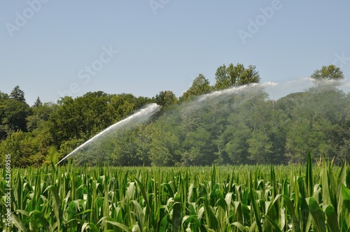 Water sprinkler installation in a field