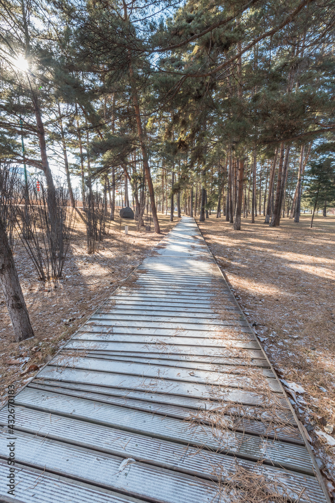 Snow, trees and trestles in changbai Mountain, Jilin, China, at sunset in winter