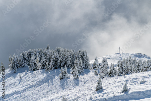 View of a forest covered with fresh snow and clouds near the Aletsch Arena. Switzerland in autumn photo