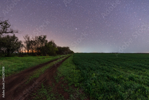 Fototapeta Naklejka Na Ścianę i Meble -  Spring landscape with green field and forest in the distance at night