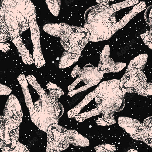Sphynx Cat in Space Cosmic. Round Dance of Kitten Heads on Background of the Starry Sky and Space. Print for Clothes T Shirts. Vector