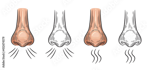 Nose inhale. Aroma smell icon. Nasal breathe. Organ of perceiving scent.  Concept inhalation of air, sniff odors, allergy, anosmia as coronavirus disease symptom. Cartoon and outline sign set. Vector 