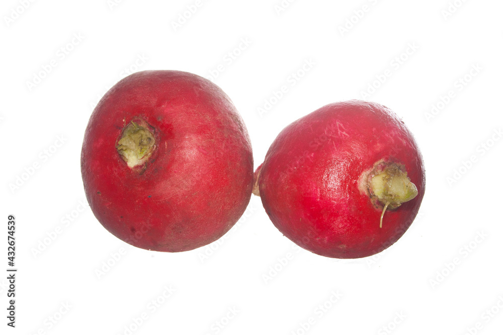 radish isolated on white background radish isolated on white background