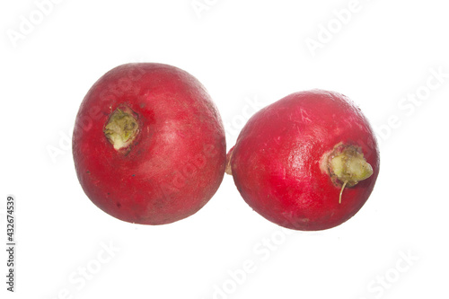 radish isolated on white background