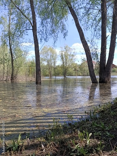 Fototapeta Naklejka Na Ścianę i Meble -  Spring flood in the village.